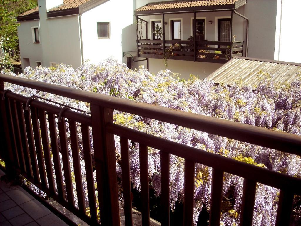 Hotel Faedo Pineta 客房 照片