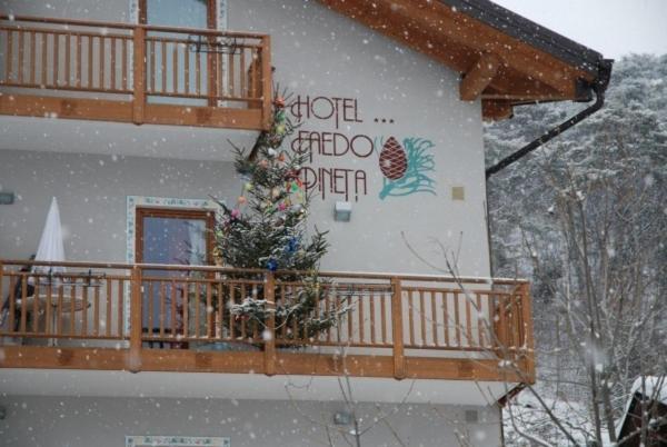 Hotel Faedo Pineta 客房 照片