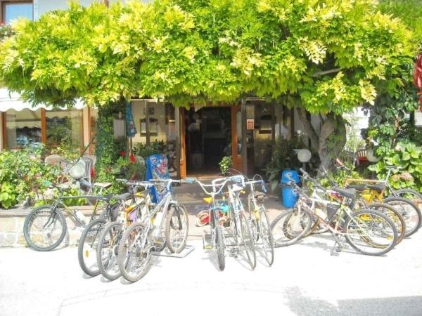 Hotel Faedo Pineta 客房 照片