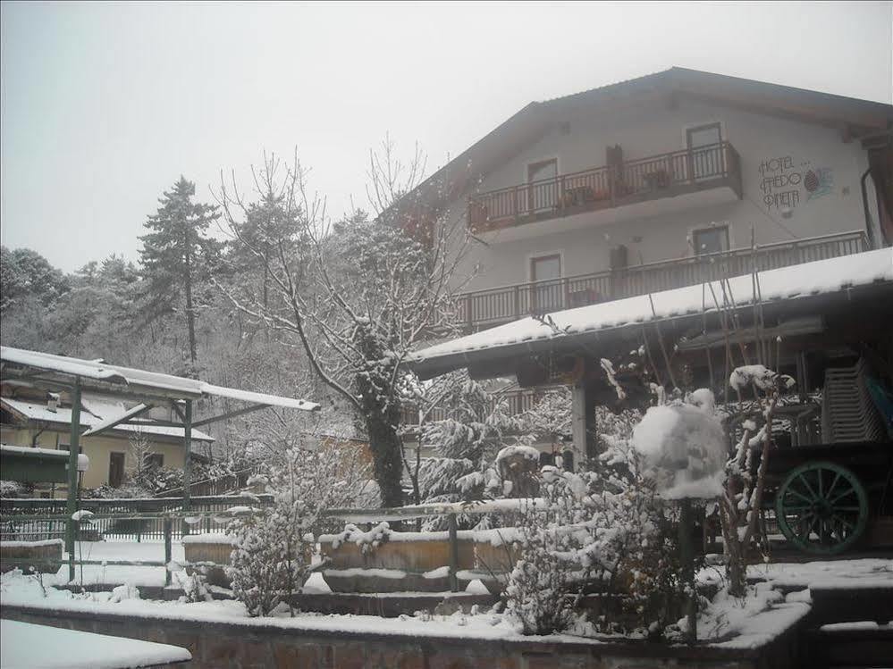 Hotel Faedo Pineta 外观 照片